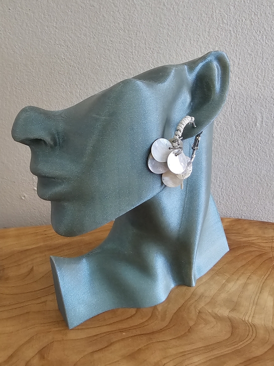 Jewelry - Sensitive Ears Hoop Earrings